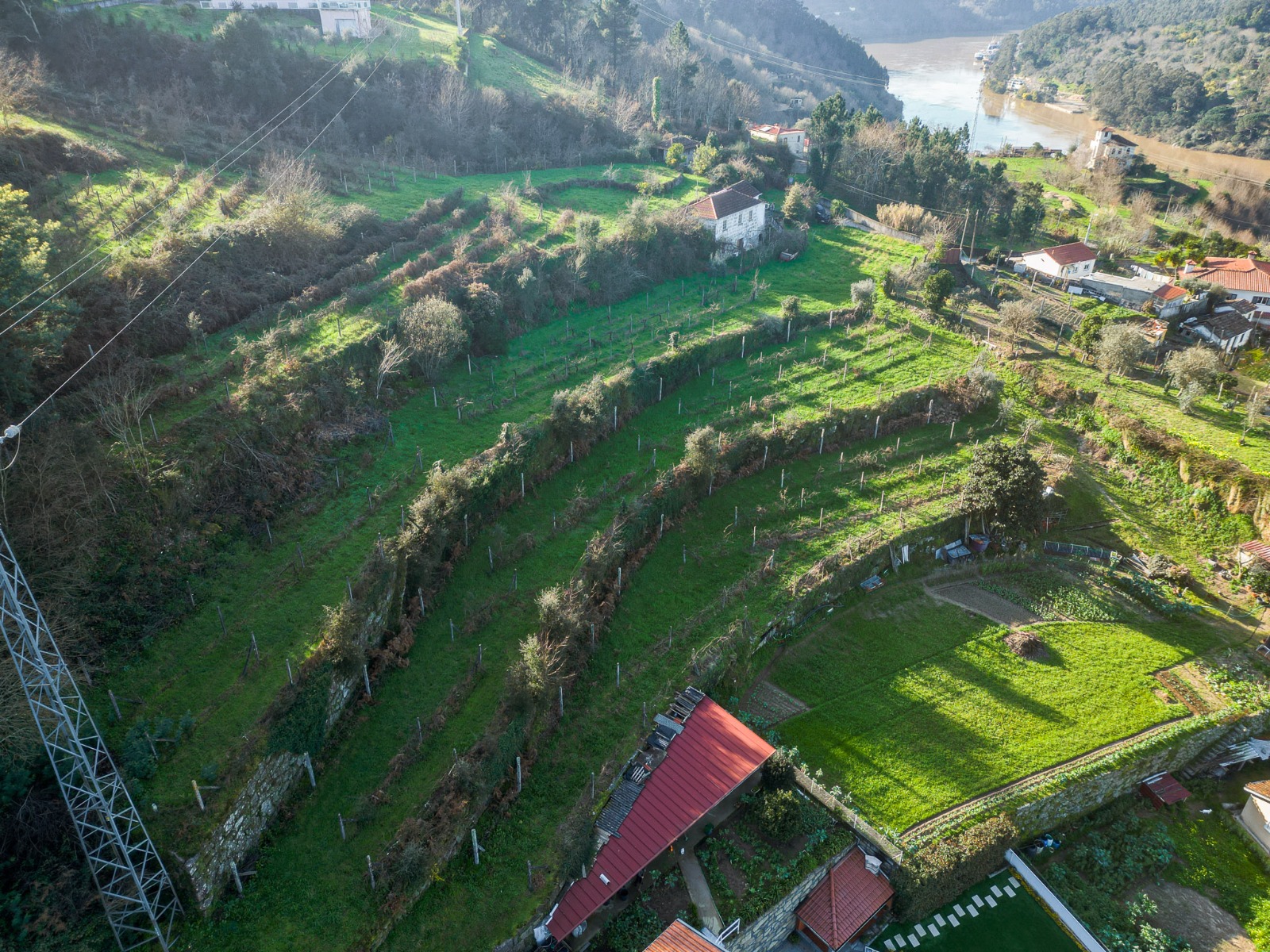 Quinta c/ Moradia T2 + Palheiro, Fornos, Castelo de Paiva — fotografia 15