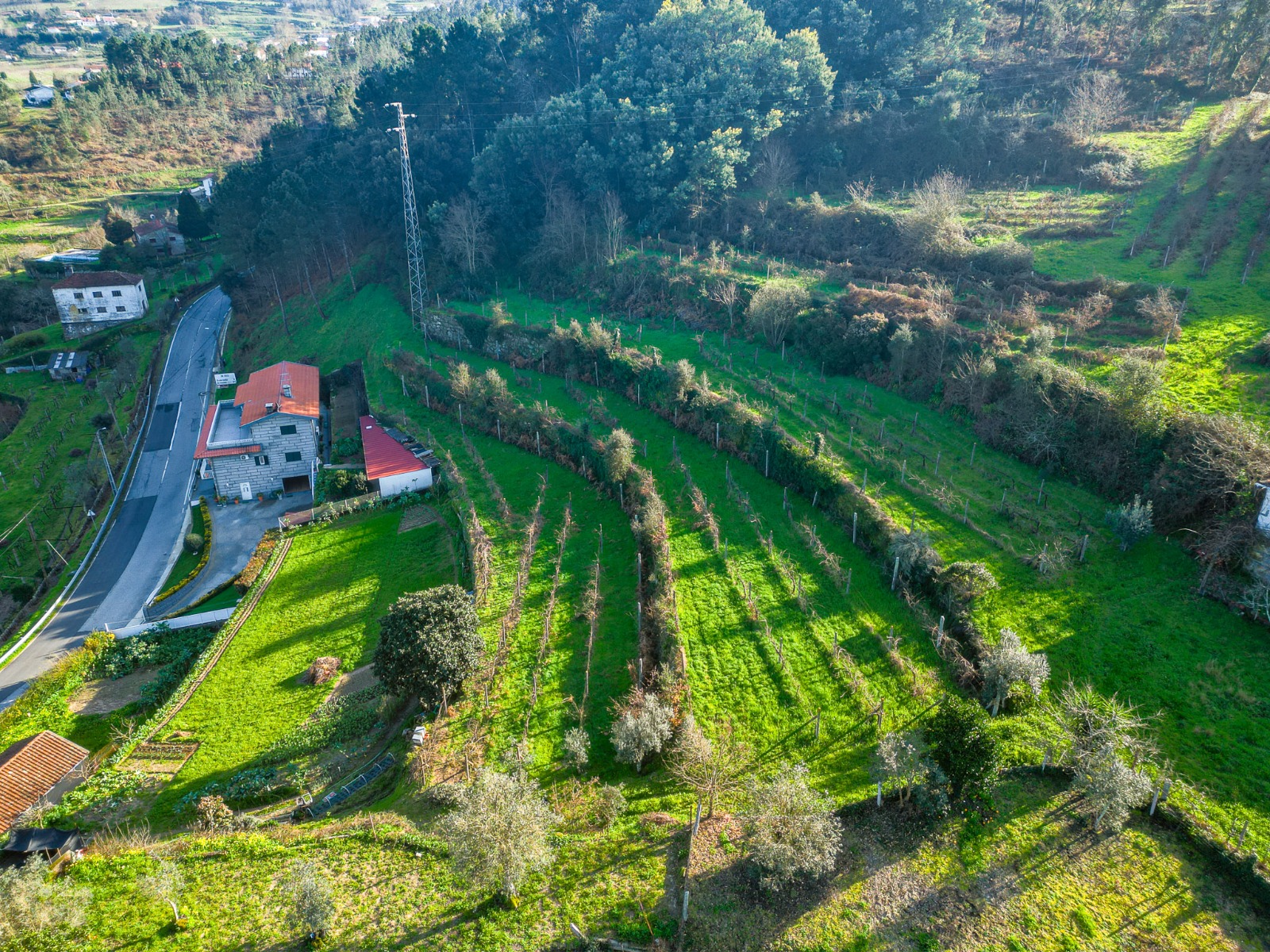 Quinta c/ Moradia T2 + Palheiro, Fornos, Castelo de Paiva — fotografia 16